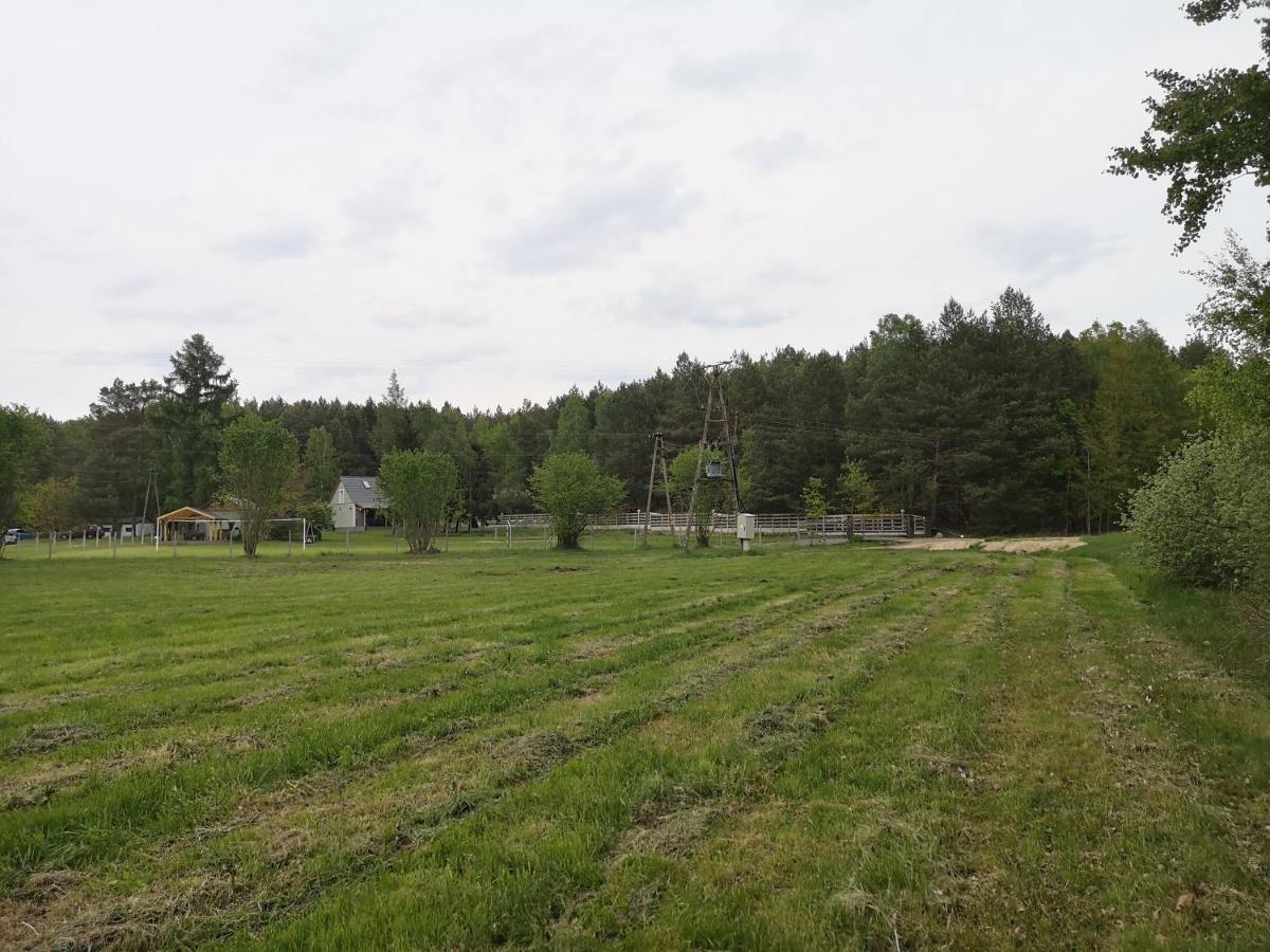 Agroturystyka Plener Miedzichowo Exterior photo
